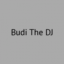 Budi The DJ Photo