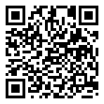 Ray Stax  QR Code