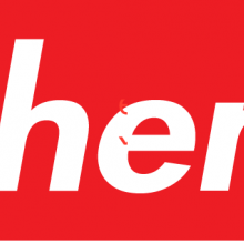Dj Scheme Logo
