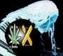 Mr Flava aka DJ XPosure Logo