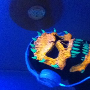 DJ PLURal. Logo