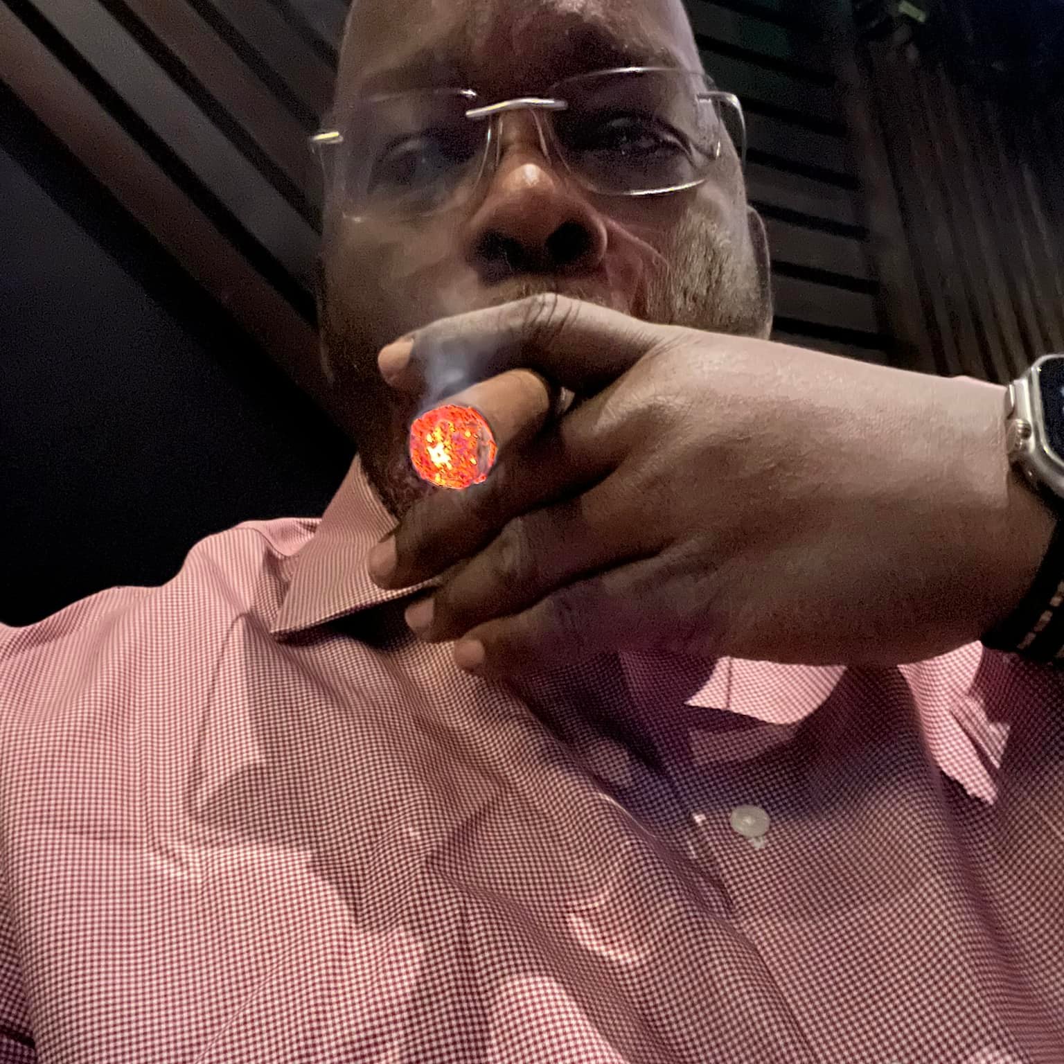 The World Famous Mr.Ed Photo