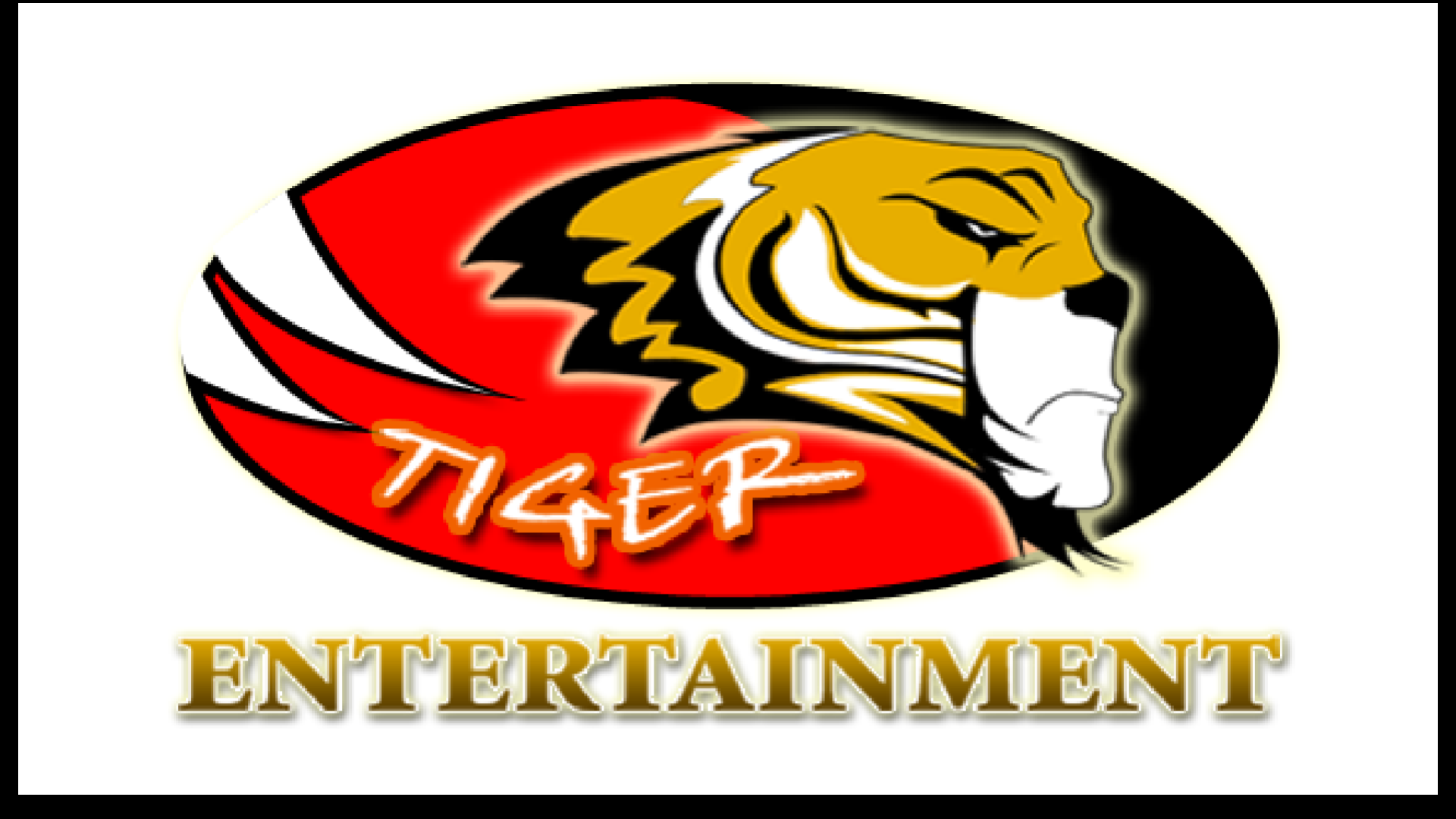 Tiger Photo