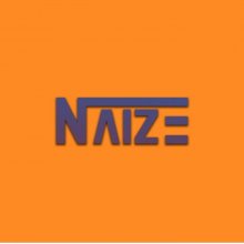 Naize Logo