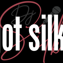 DJ Silkhtx Logo