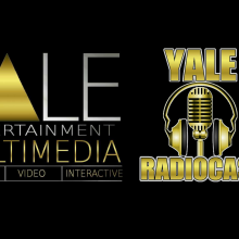 D Yale Logo