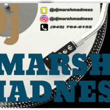 DJMARSHMADNNESS Logo