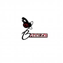 DJ Breeze Logo