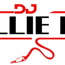 Dj Willie Bee Logo
