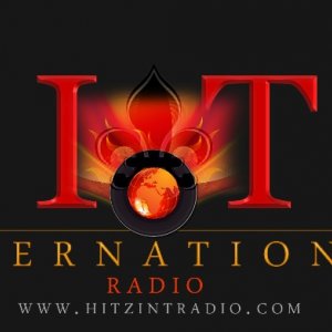 HITZ INTERNATIONAL LLC Logo