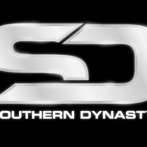 Southern Dynasty Music  Logo