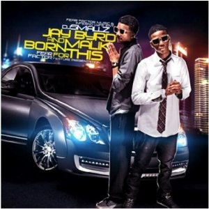 Born 4 This Cover