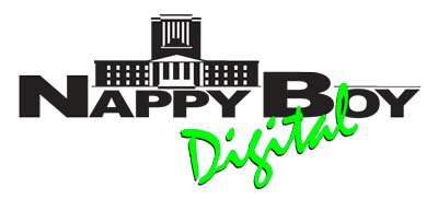 Nappy Boy Entertainment  Logo