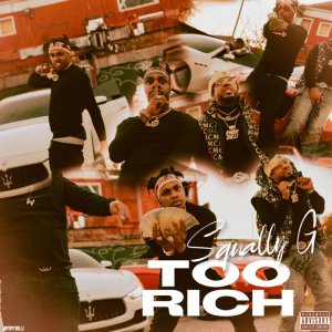 Too Rich Cover