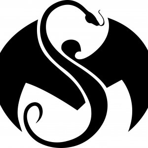 Strange Music Inc Logo