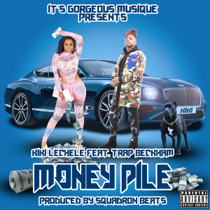 Money Pile Cover