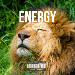 Single - Energy ft. Lucinia Karrey Cover
